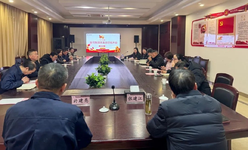 尊龙凯时人生就是搏党支部召开2024年年度总结会议